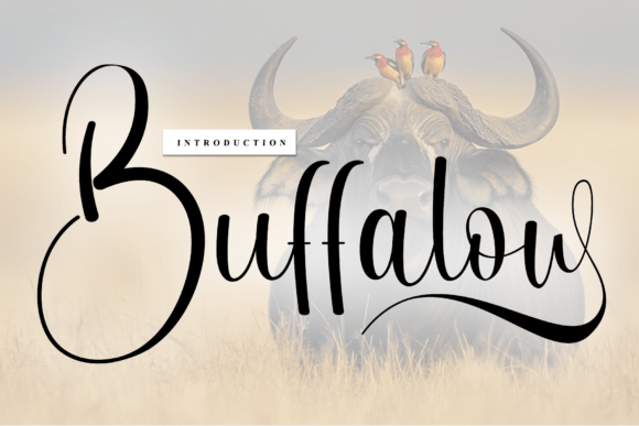 Buffalow: A Handwritten Font with Timeless Appeal for Your Brand